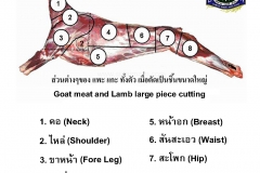 ตำแหน่งต่างๆของ เนื้อแพะ เนื้อแกะ