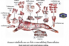 ลักษณะการตัดชิ้น เนื้อแพะ เนื้อแกะ